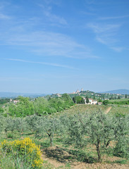 Fototapeta na wymiar die Toskana bei San Gimignano,Italien