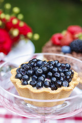 Cupcake with blueberries