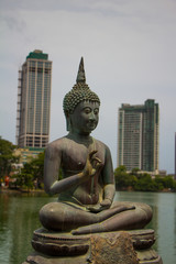 Obraz premium Buddha, Seema Malaka Tempel, Colombo, Sri Lanka