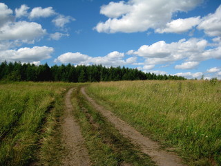 dirt road up in the woods