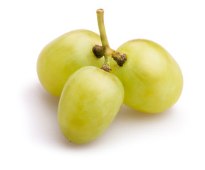 white grapes