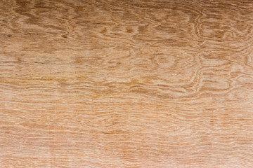 Birch plywood. High-detailed wood texture series.