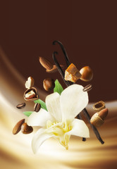 
Vanilla flowers aromatic, fresh vanila flower and stick on white background for ingredient label.
