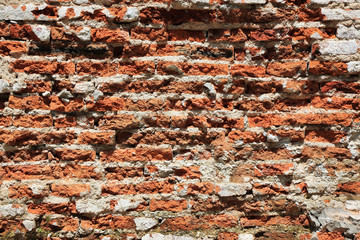 Moldy red brick wall background texture. grunge brick wall