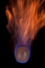 Kiwi on fire