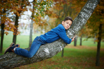 boy climbs up the tree in park