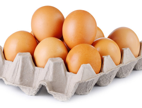 Chicken Egg , egg