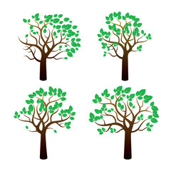 Obraz premium Color Tree and Green Leafs. Vector Illustration.