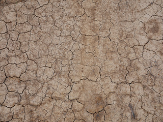 drought cracked clay ground