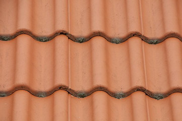 Dachzeigel