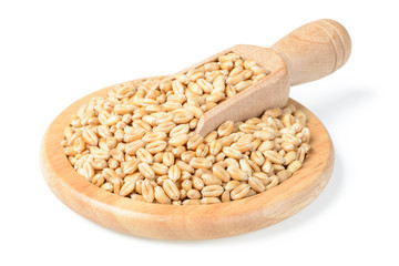 raw dried wheat in the wooden plate, (large depth of field, taken with tilt shift lens)