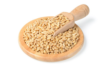 raw dried wheat in the wooden plate, (large depth of field, taken with tilt shift lens)