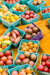 Boxes of small tomatoes at the market