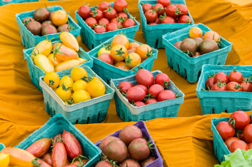 Boxes of small tomatoes at the market