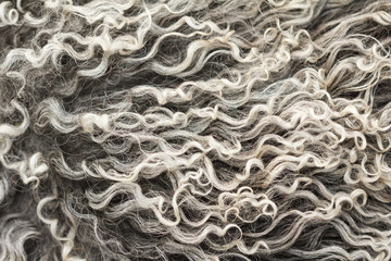 Sheepskin Background