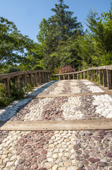 Footpath to forest