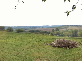 La strada del vino Monferrato