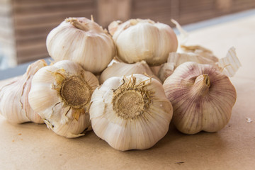 close up of garlic on market