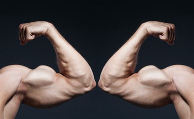 Metamorphoses. Hands bodybuilder. biceps