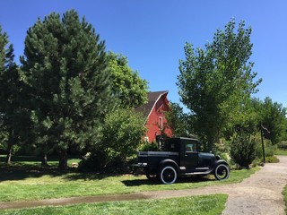 farm on a summer day