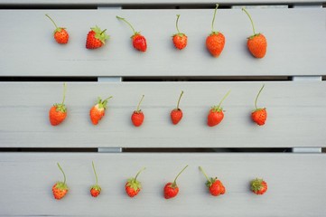 Erdbeeren strawberries 5