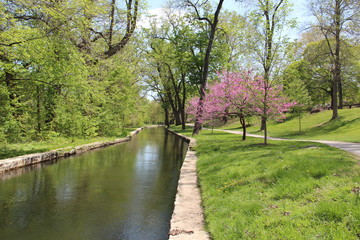 Fototapeta na wymiar City Park Canal and Walkway 