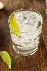 Alcoholic Gin and Tonic