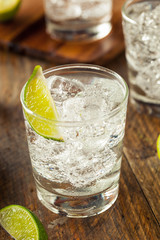 Alcoholic Gin and Tonic