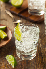 Alcoholic Gin and Tonic