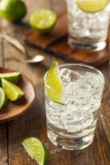 Alcoholic Gin and Tonic