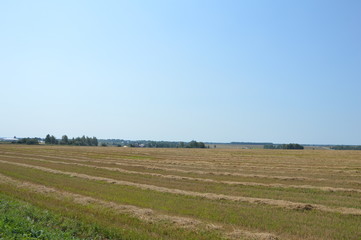 Obraz premium Август