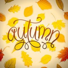 Autumn Text with a Background full of Leaves. Vector Illustration.