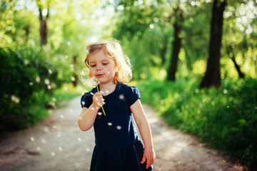 Fototapeta premium child with dandelion