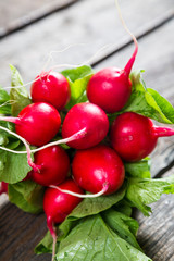Fresh radishes