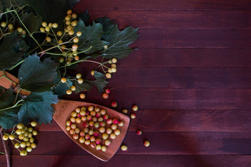 ashberry on wooden background with copy space