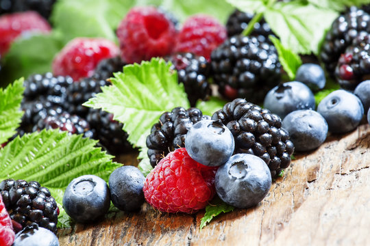 Fresh blackberries, raspberries and blueberries with leaves on t