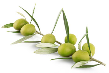 olives on the white background