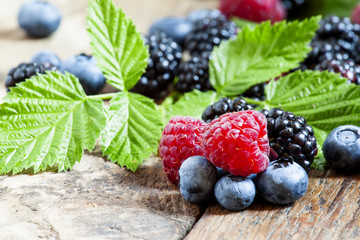 Fresh blackberries, raspberries and blueberries with leaves on t