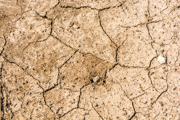 Fototapeta premium Trockenheit
