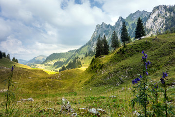 Breccaschlund, freiburger Alpen, Schweiz