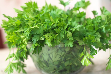 parsley fresh  herb
