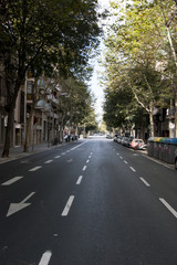 Calle con las copas de los árboles formando un túnel en Barcel