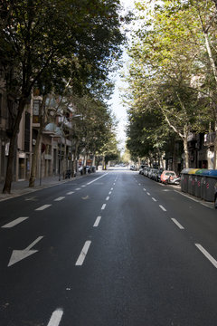 Calle con las copas de los &aacute;rboles formando un t&uacute;nel en Barcel