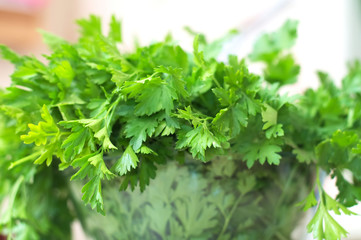 Fototapeta na wymiar parsley fresh green herb closeup