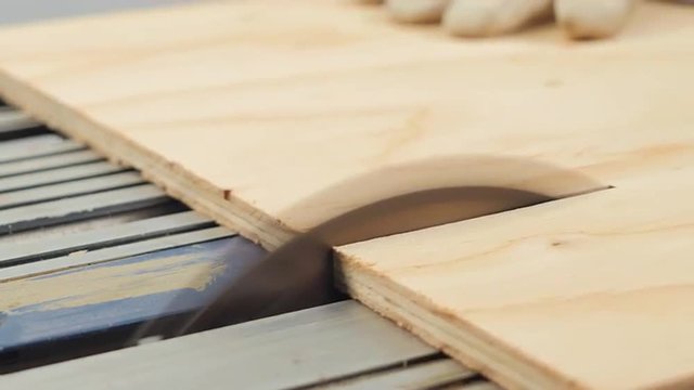 Table Saw Cutting Plywood