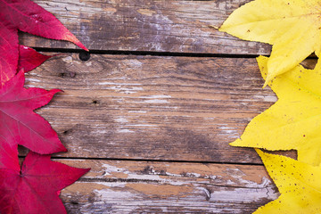 Autumn leaves over wooden background