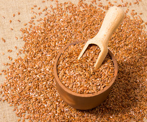 closeup of flaxseed on background canvas