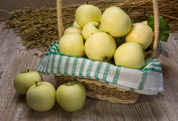 apples varieties of Papirovka in the basket