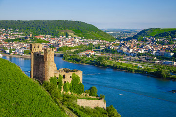 Fototapeta na wymiar Ehrenfels Castle on Rhine river near Ruedesheim 