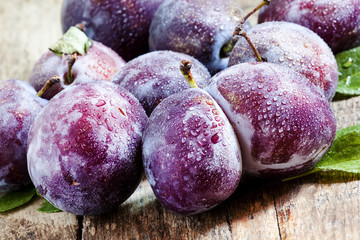 Large purple plum with water drops, selective focus